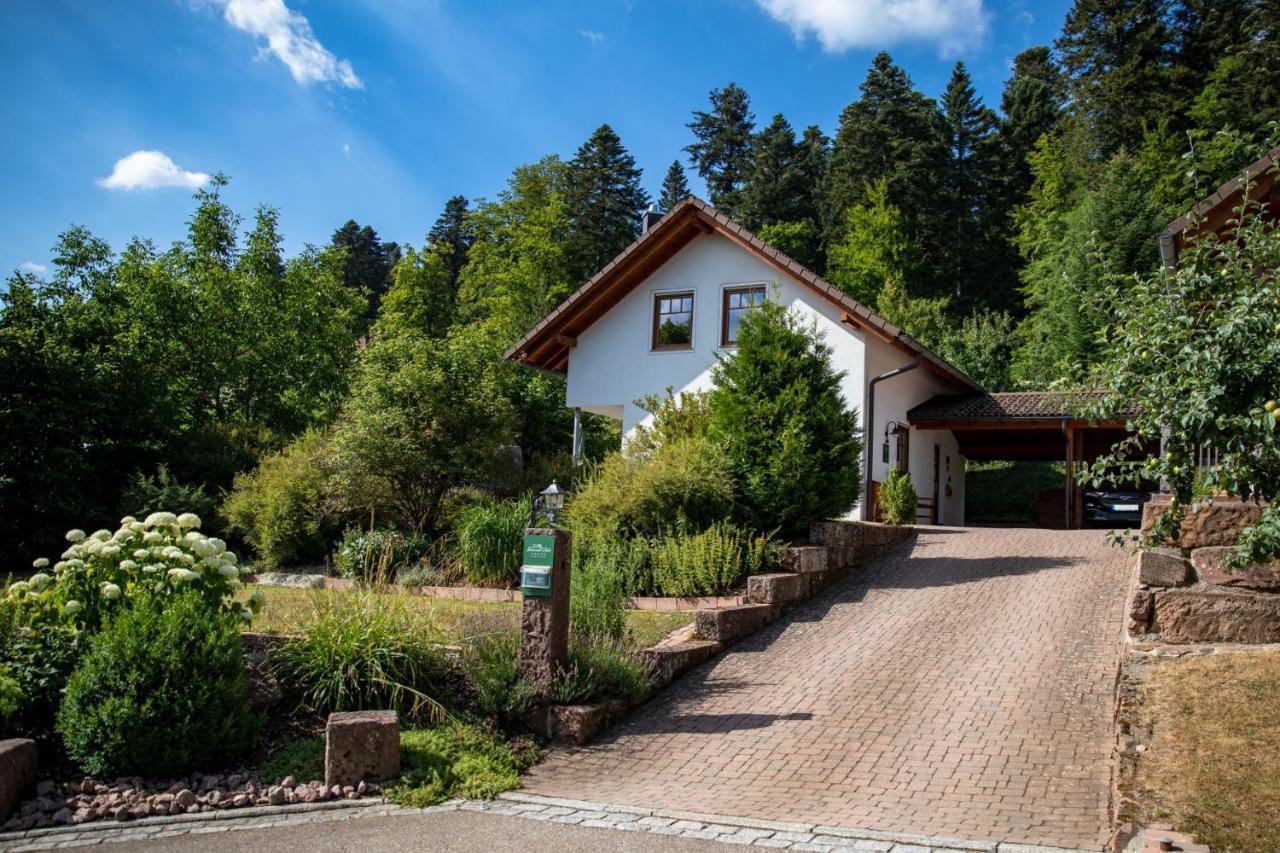 Schwarzwald Chalets Freudenstadt Dış mekan fotoğraf